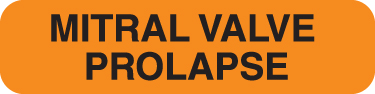 Mitral Valve 1-1/4"x5/16" Fl-Orange, 250/Roll<br />11-MAP349
