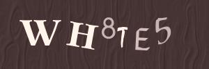 Please contact us form assistance if you are unable to view the CAPTCHA.