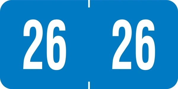 Year Labels Tab 3/4&quot;, 500/Roll
