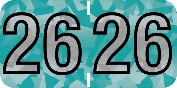 Year Labels PMA Holographic 3/4&quot;, 500/Roll, 2026