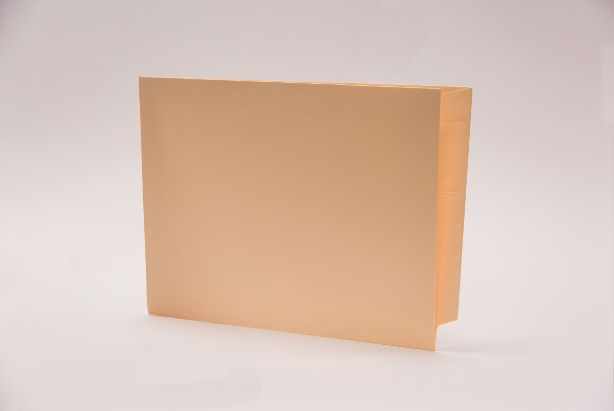 End Tab Double Pocket Folder, 50