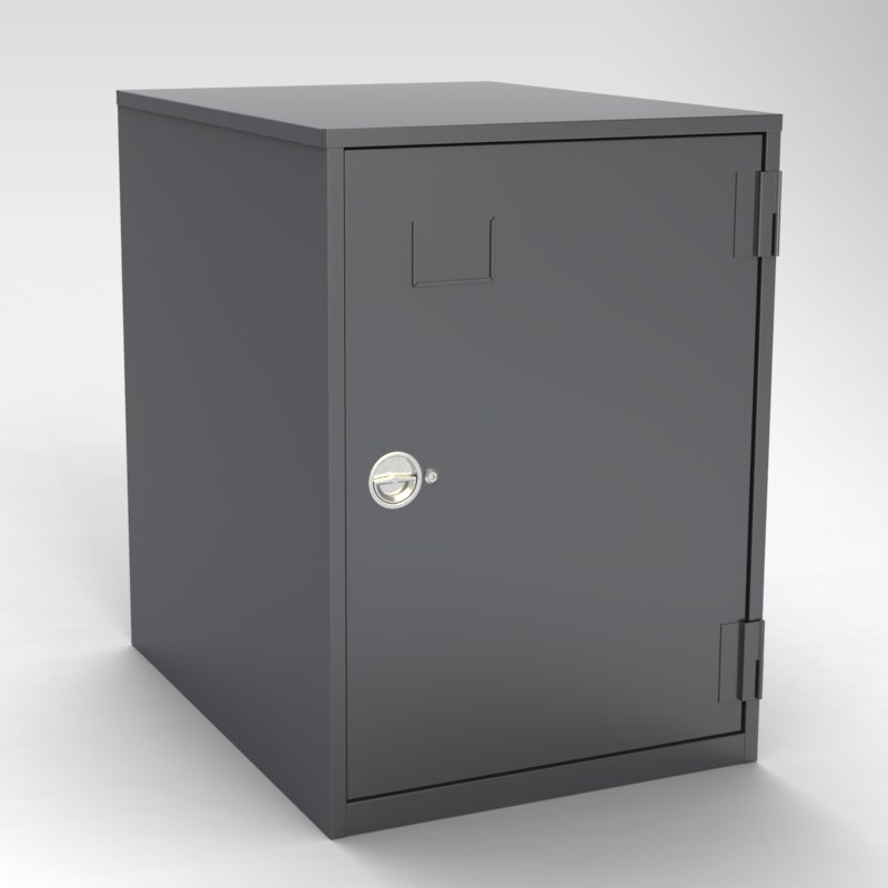 Single Door Vertebrate Case (lock included)
